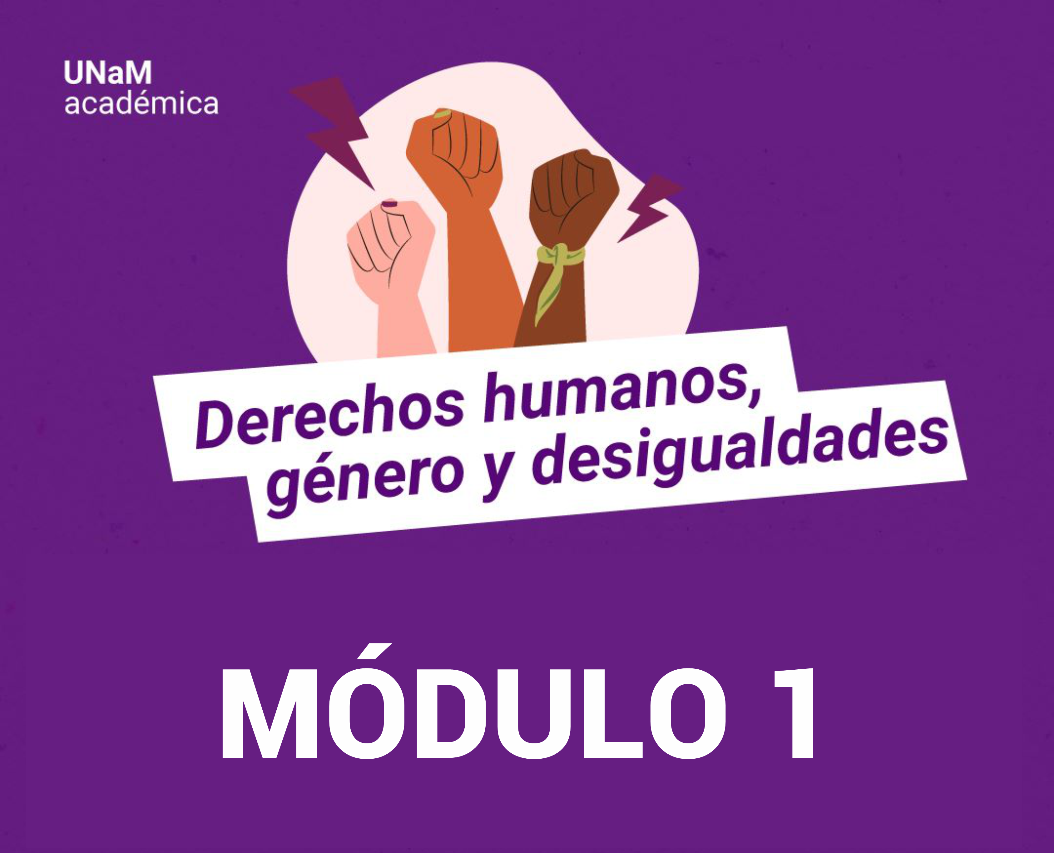 MODULO 1: Introducción a la comprensión integral de los derechos humanos.